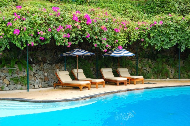 Piscina y fronda