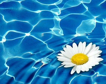 Los mejores cloradores salinos para piscinas pequeñas – Cloradores